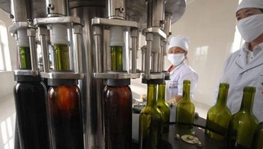 Dostosowane Wine Napełniarka / wino butelkowania Sprzęt / Wine Bottle Filler
